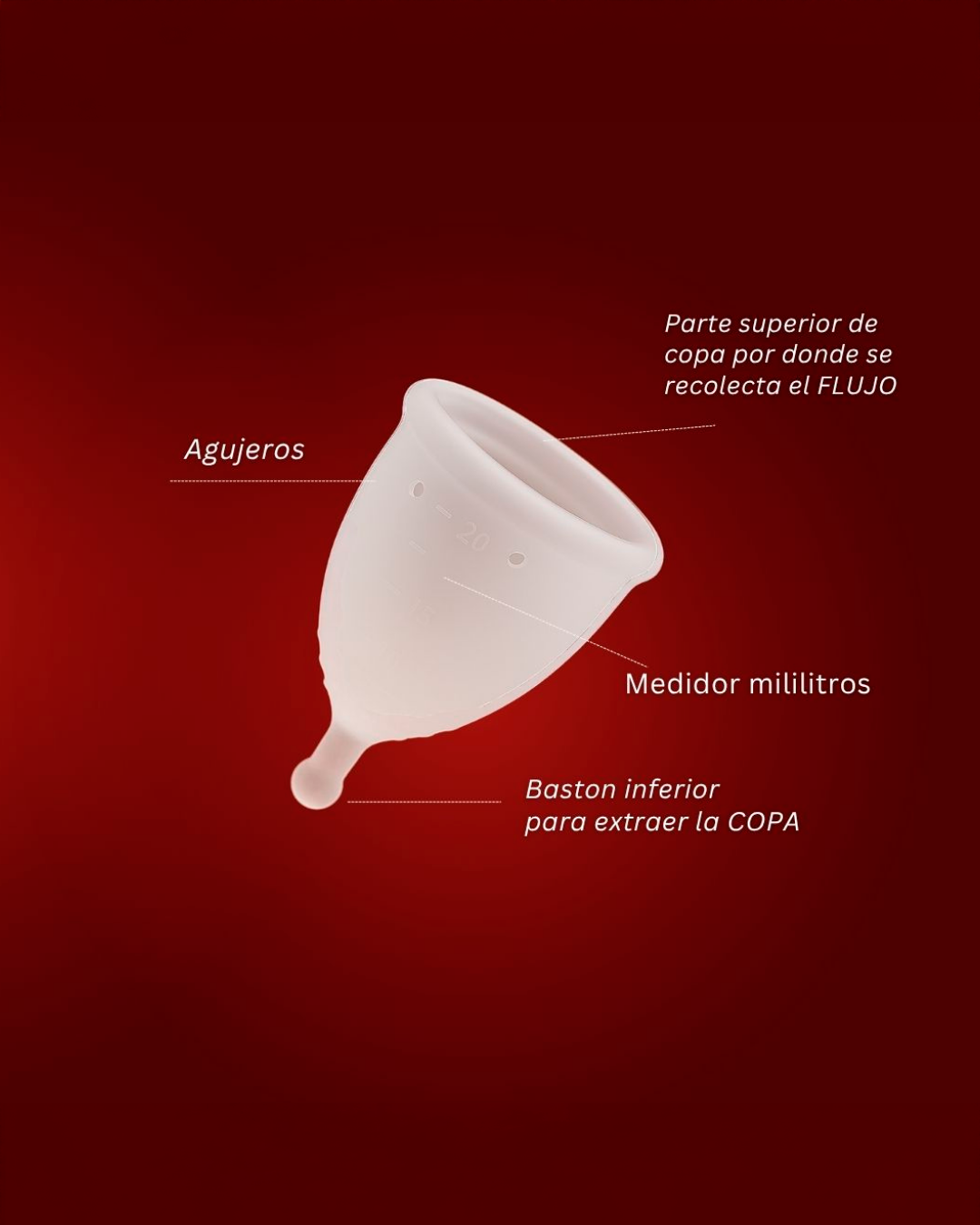 Grial Sagrado: Copa menstrual